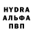 Каннабис гибрид COK 81
