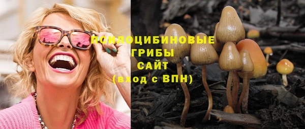 винт Армянск