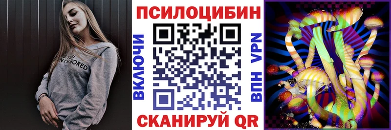 Купить где  Балей  Псилоцибиновые грибы мицелий 